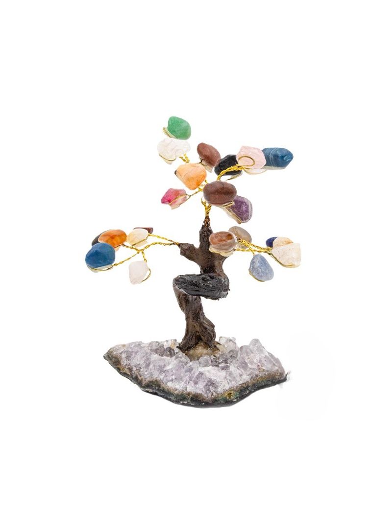 Árvore Sete Chakras