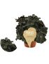 Begonia foliage Magic Colours Dark Mambo