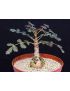 Boswellia dioscoridis