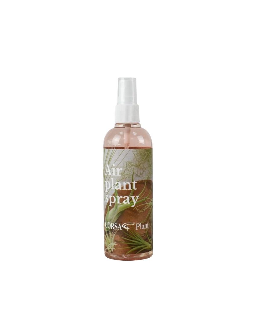 Tillandsia care spray