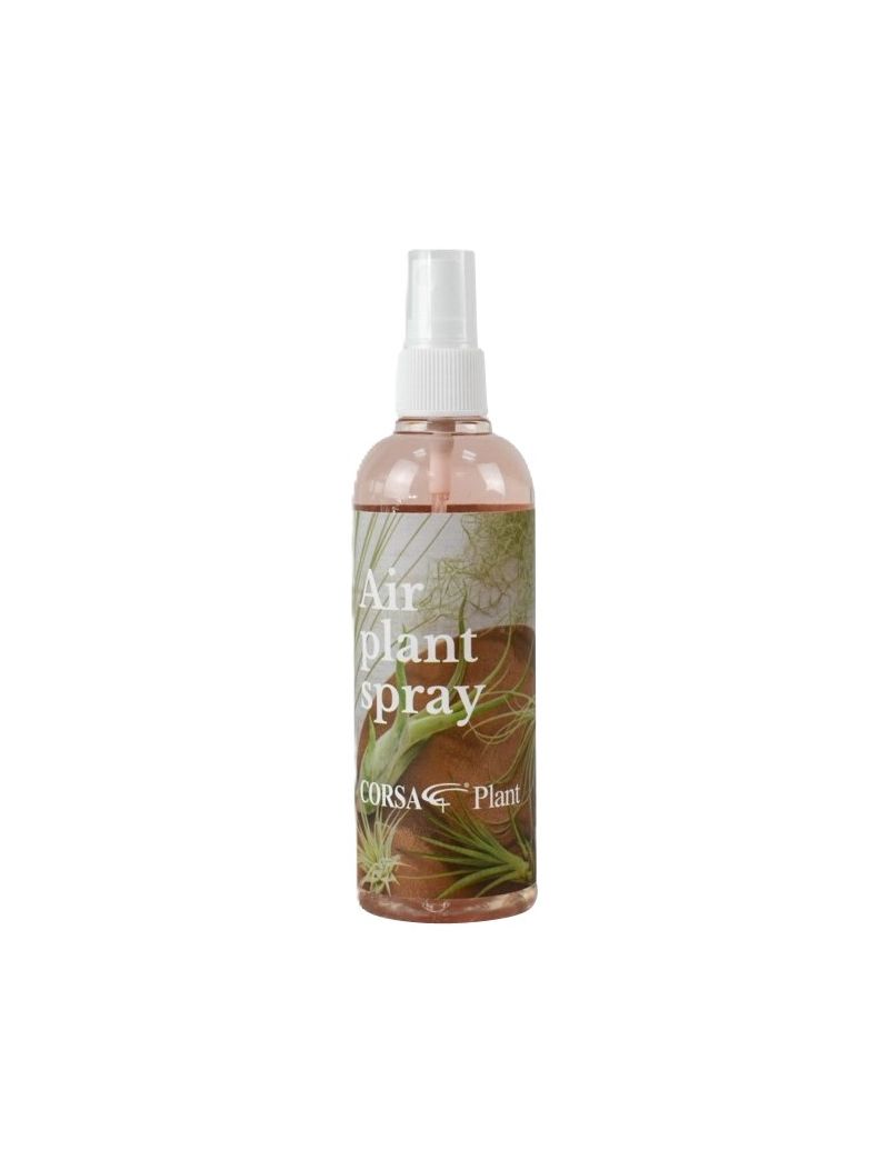 Tillandsia care spray